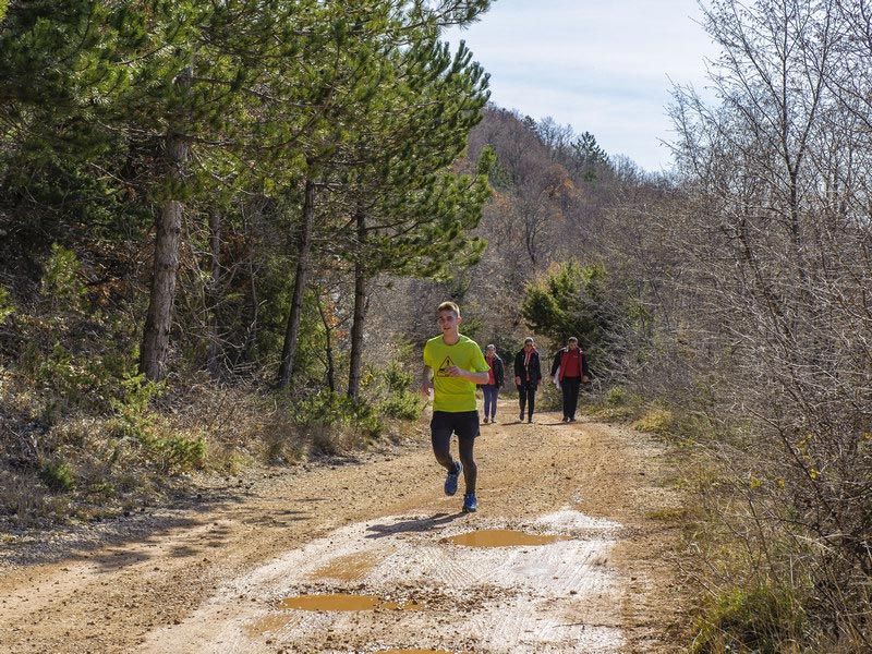 Trekking/planinarenje